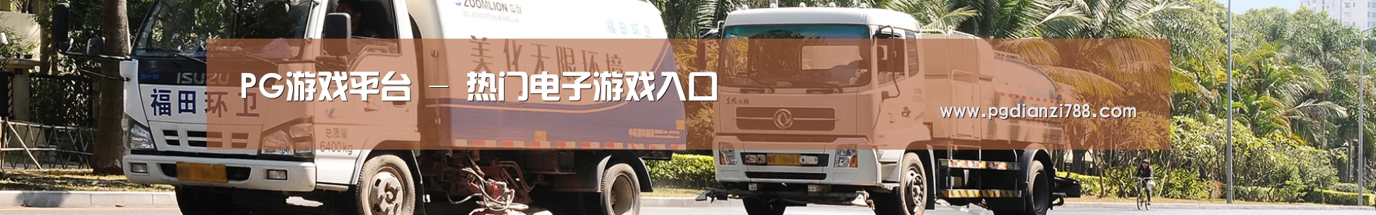 成功案例