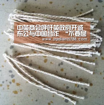 中英商会呼吁英政府开诚布公与中国合作 “不要屈从外部政治压力”‘PG电子平台’