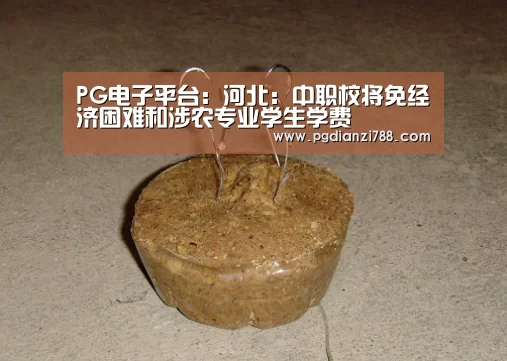 PG电子平台:河北:中职校将免经济困难和涉农专业学生学费(图4) PG电子平台