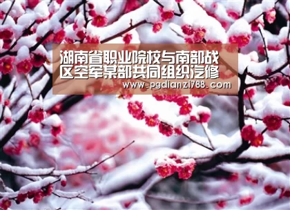 湖南省职业院校与南部战区空军某部共同组织汽修专业培训:PG游戏平台(图4) PG游戏平台