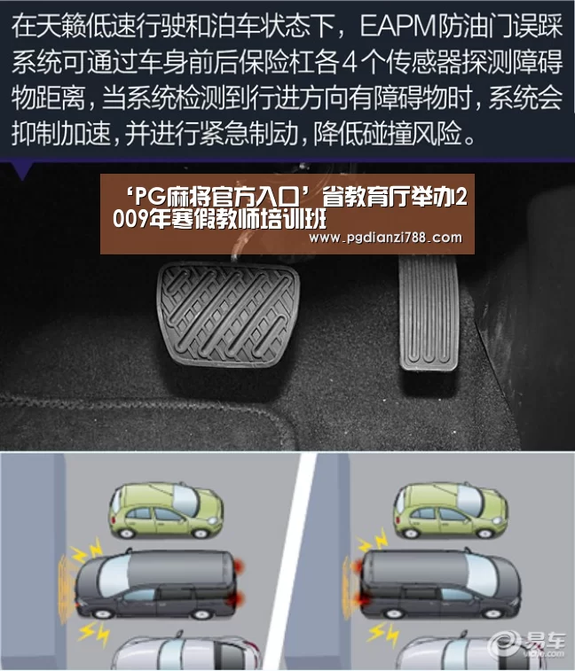 ‘PG麻将官方入口’省教育厅举办2009年寒假教师培训班(图4) PG麻将官方入口
