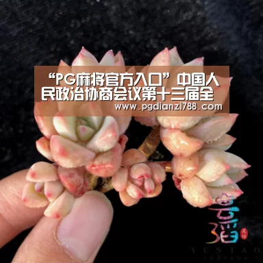 PG麻将官方入口