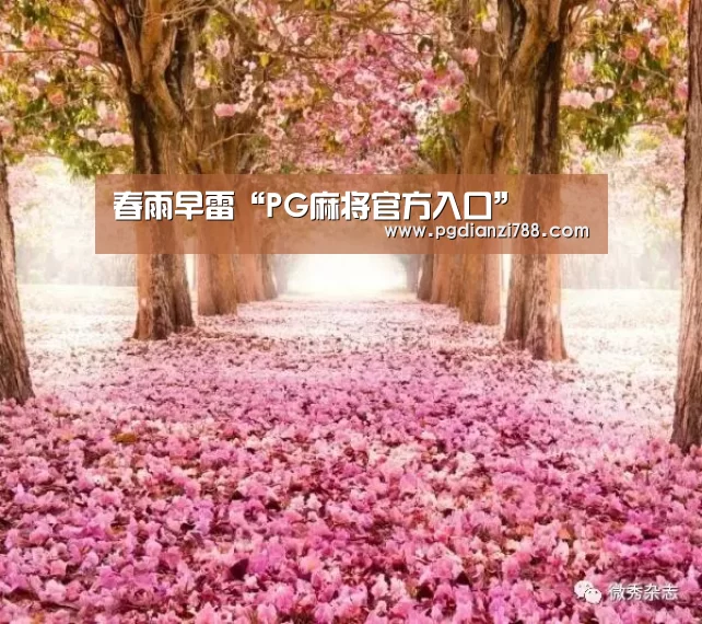 春雨早雷“PG麻将官方入口”(图2) PG麻将官方入口