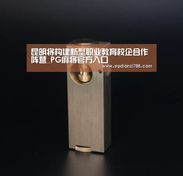 昆明将构建新型职业教育校企合作阵营_PG麻将官方入口