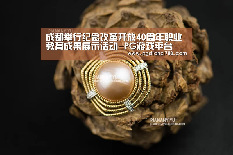成都举行纪念改革开放40周年职业教育成果展示活动-PG游戏平台(图3) PG麻将官方入口