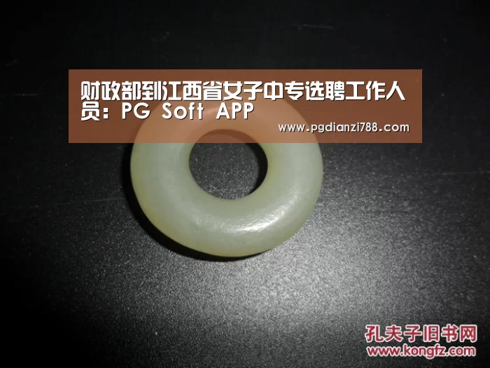 财政部到江西省女子中专选聘工作人员:PG Soft APP(图1) PG麻将官方入口