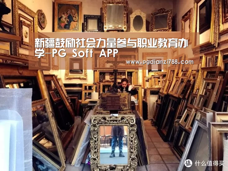 新疆鼓励社会力量参与职业教育办学-PG Soft APP(图3) PG游戏平台