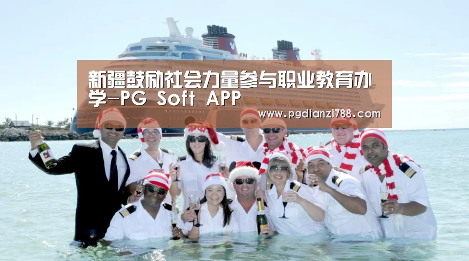 新疆鼓励社会力量参与职业教育办学-PG Soft APP(图4) PG麻将官方入口
