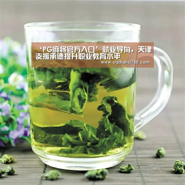 ‘PG麻将官方入口’就业导向,天津支援承德提升职业教育水平(图2) PG麻将官方入口