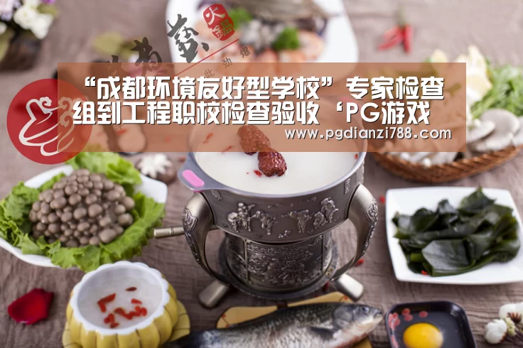 “成都环境友好型学校”专家检查组到工程职校检查验收‘PG游戏平台’(图1) PG麻将官方入口