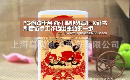PG游戏平台|浙江职业教育1+X证书制度试点工作迈出重要的一步(图1) PG麻将官方入口