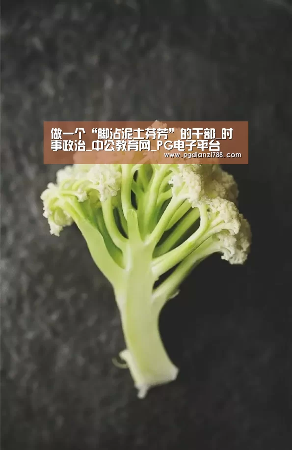 做一个“脚沾泥土芬芳”的干部_时事政治_中公教育网_PG电子平台(图1) PG电子平台