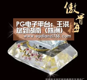 PG游戏平台